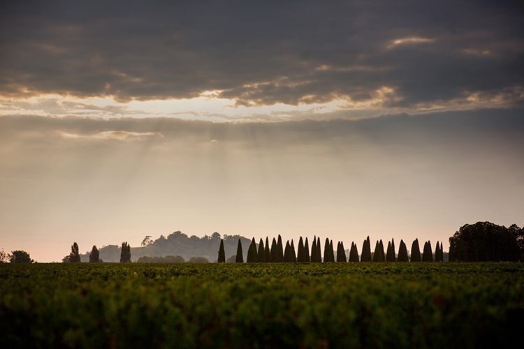 波美侯名庄大聚,不认识它们你就out了!