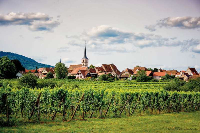 走近法国鲜为人知的黑皮诺产区