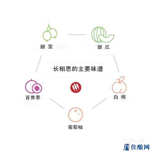 ϼ����VS����˼