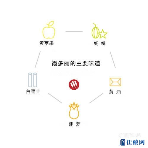 ϼ����VS����˼