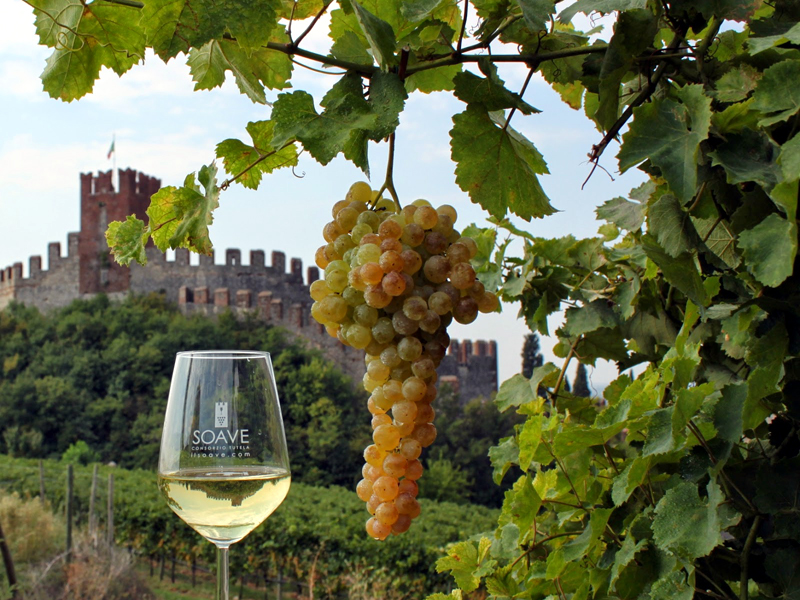 ǧ����ʷ��ǧ��������